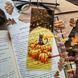 Закладинка прозора "Гарбузовий кіт"