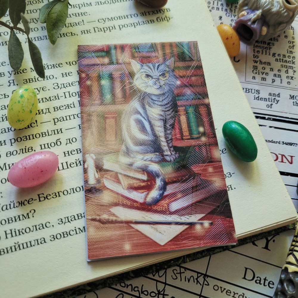 Magnetic bookmark "An unusual cat"