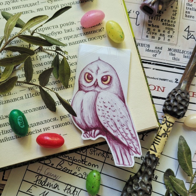 Magnetic bookmark "Magic owl"