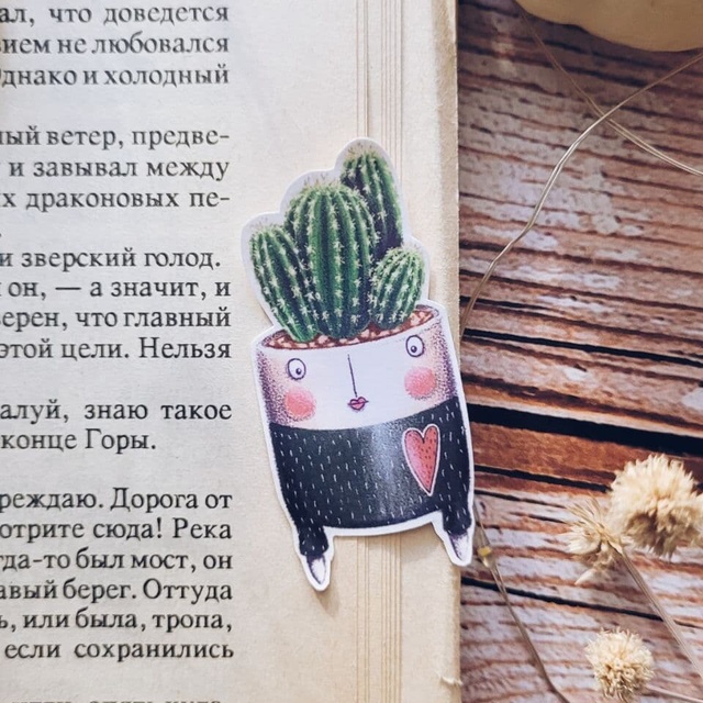 Sticker "Surprised cactus", Self-adhesive paper with matte lamination