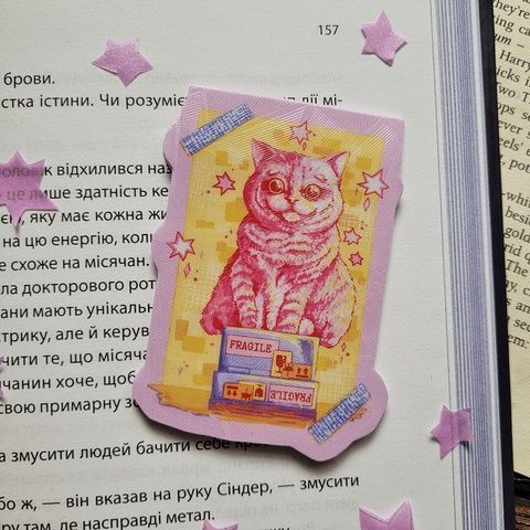 Magnetic bookmark "Cat in a box 1"