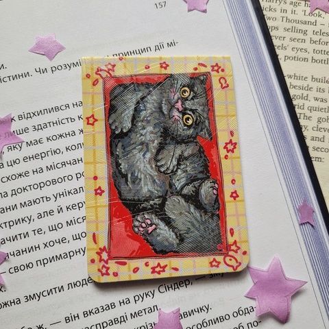 Magnetic bookmark "Cat in a box 8"